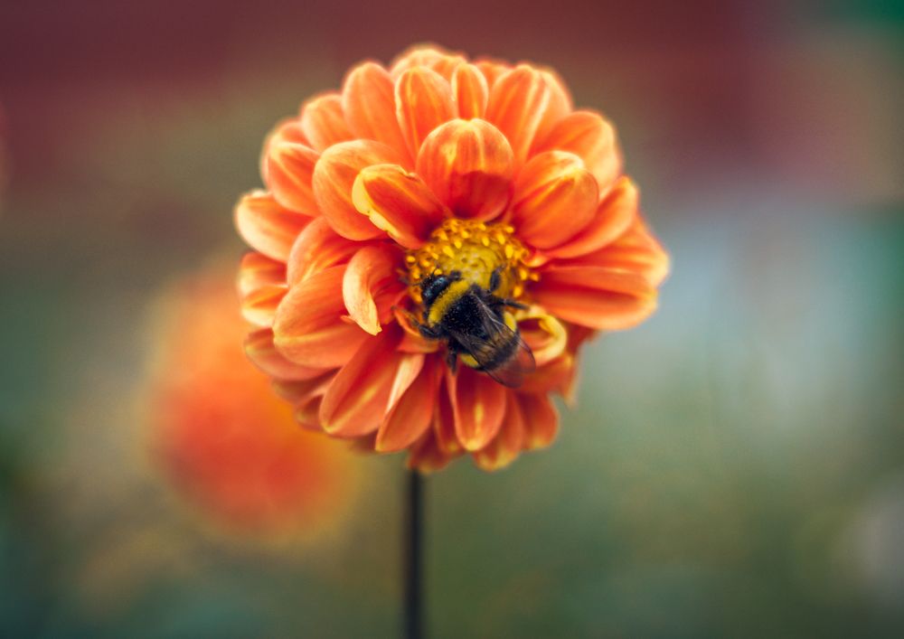 Photograph by Ольга Остапенко