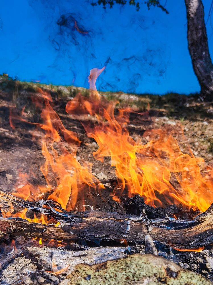 Photograph by Инна