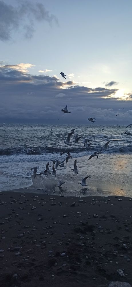 Photograph by Татьяна Мазепова