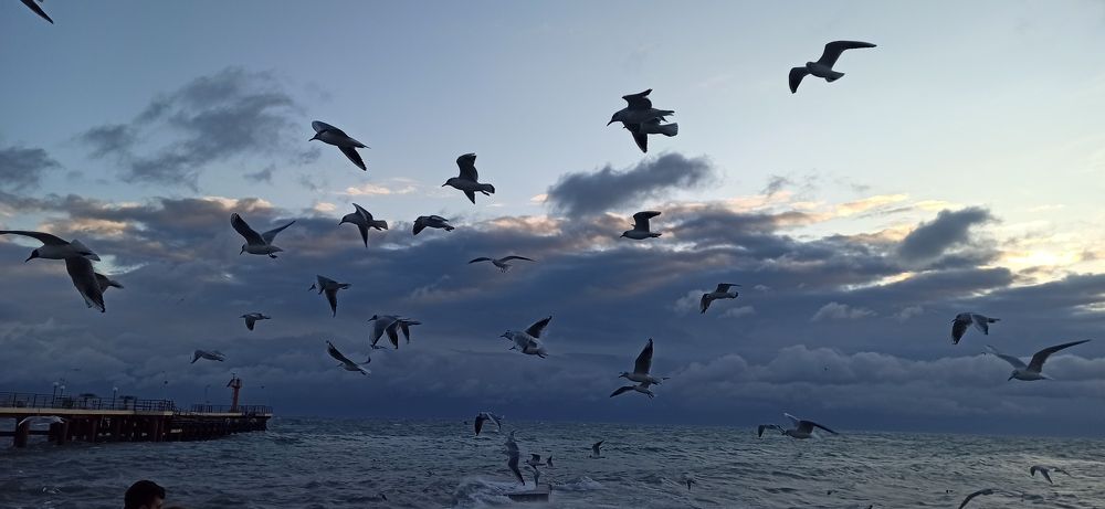 Photograph by Татьяна Мазепова