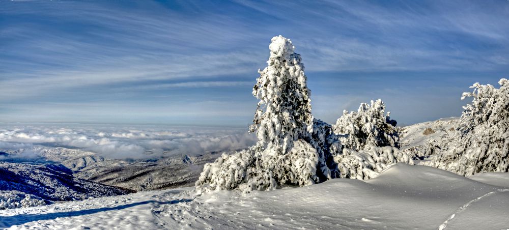 Photograph by Евгений Самулев