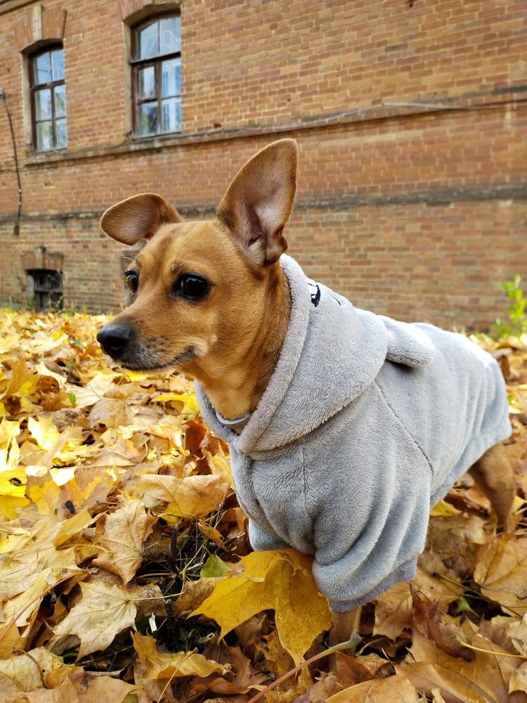 Photograph by Наташа Верхоламова