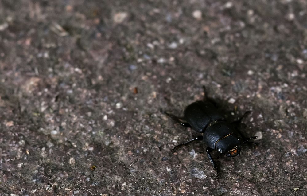 Photograph by Nicole Maria Oestreich