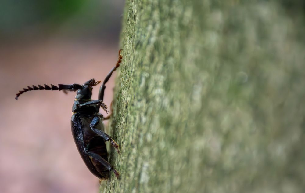 Photograph by Nicole Maria Oestreich