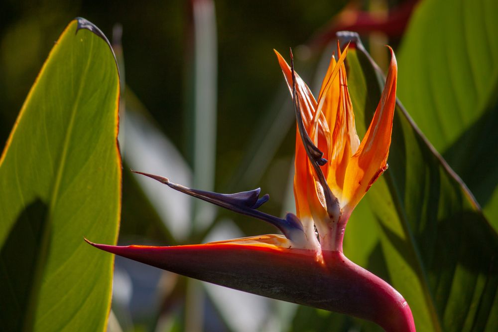 Photograph by Владислав Капанов