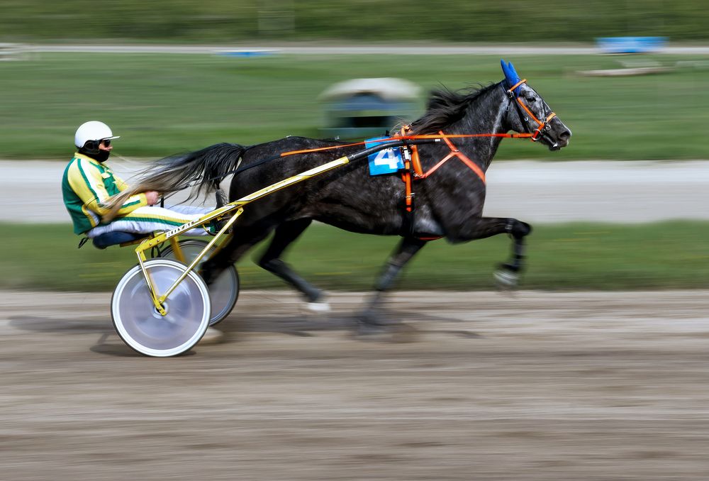 Photograph by Александр Перегудов