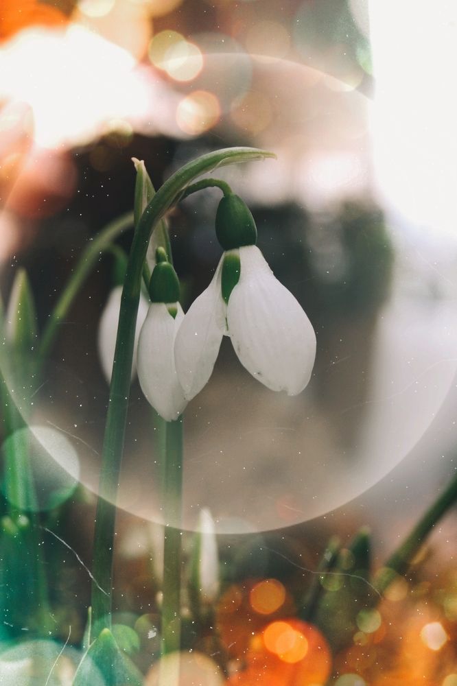 Photograph by Екатерина Мурсынина