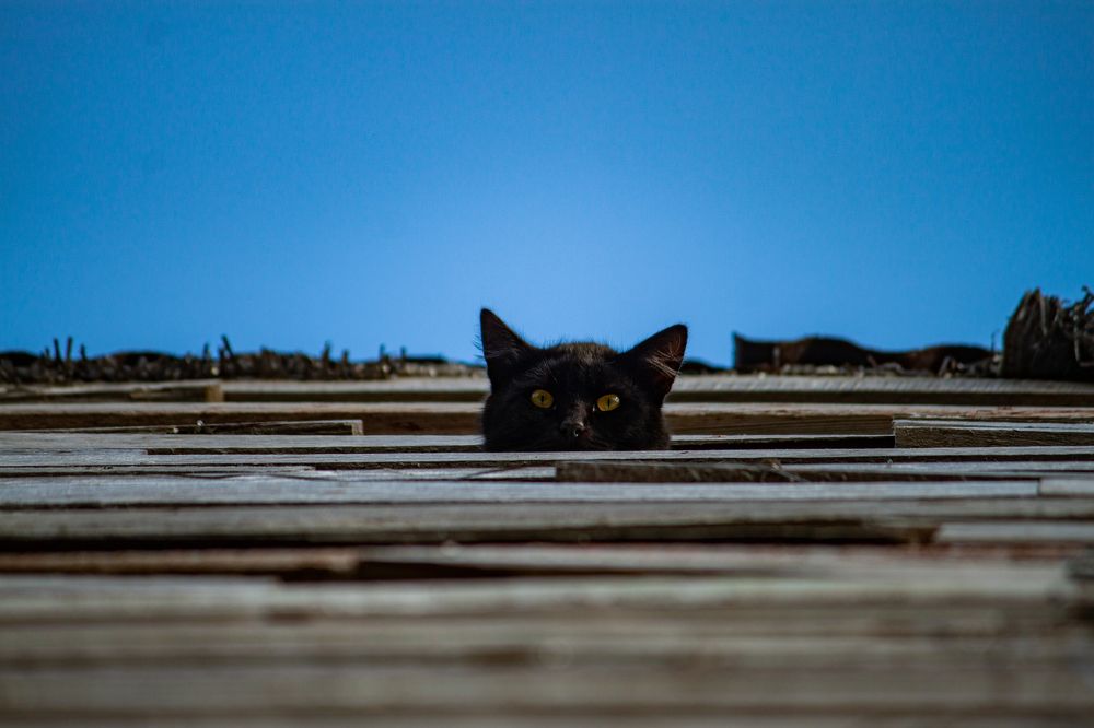 Photograph by Владислав Капанов