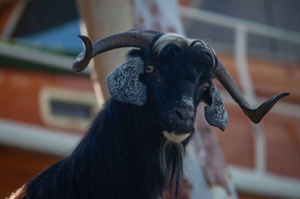 Photograph by Владислав Капанов