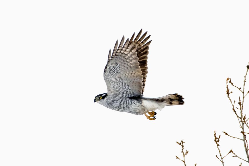 Photograph by Александр Перегудов