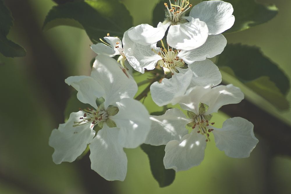 Photograph by Светлана Тарханова