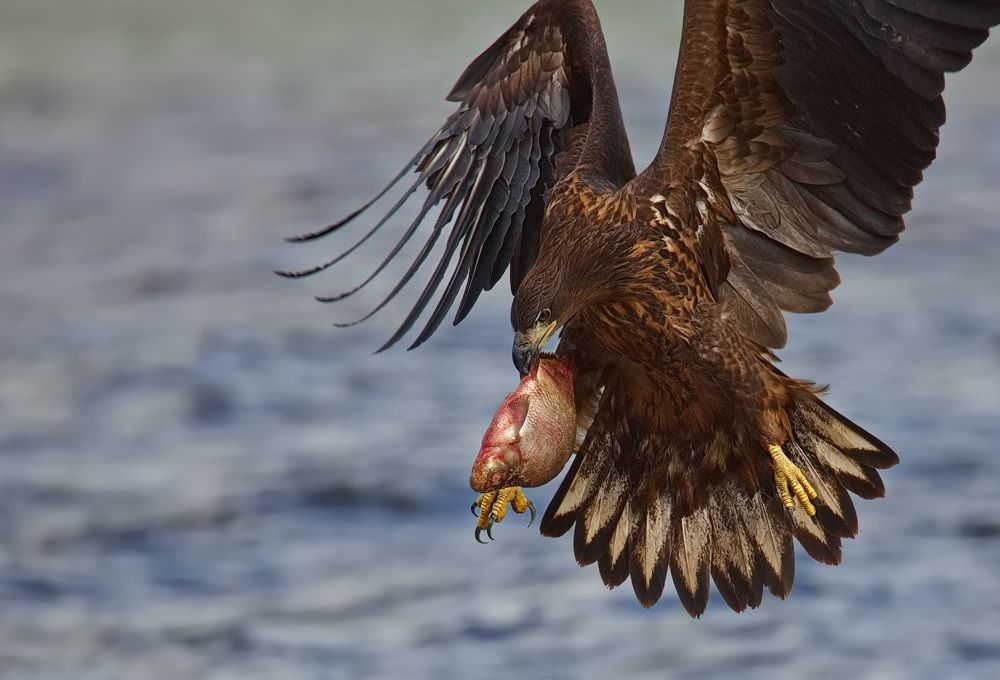 Время обеда