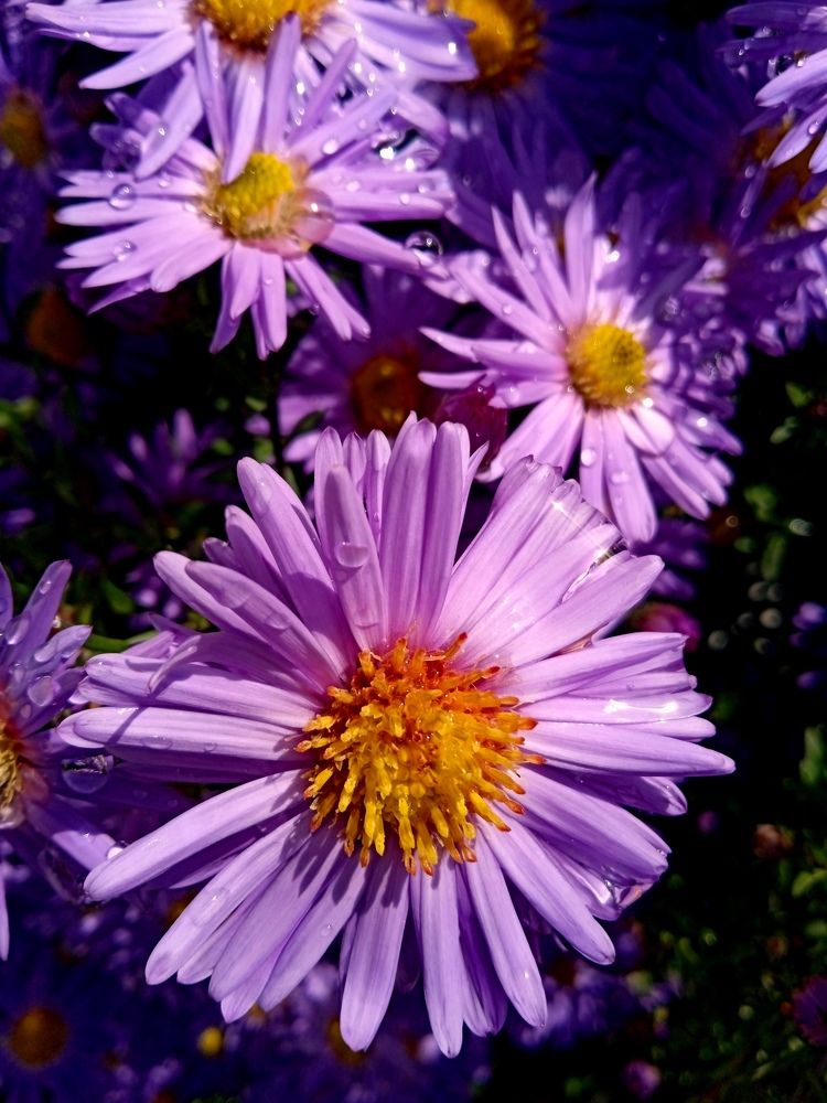 Photograph by Нина Словина