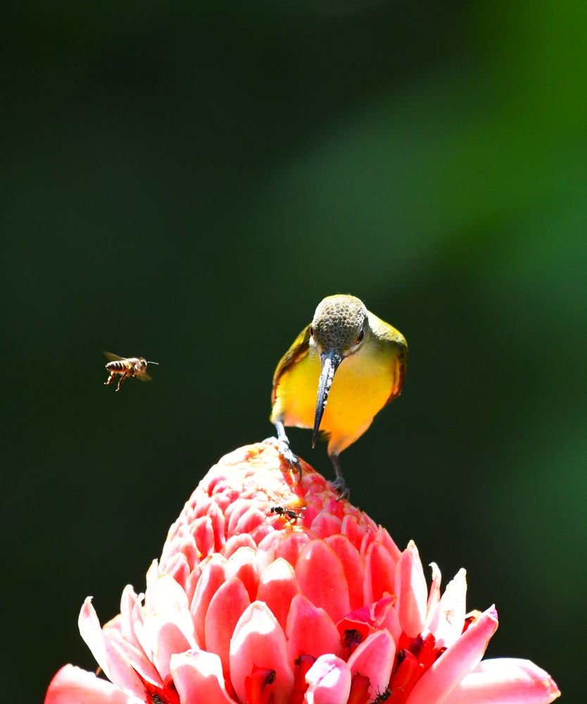 Photograph by George S George