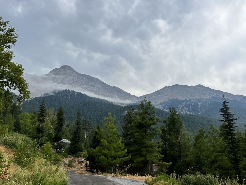 Photograph by Tatiana Ünal