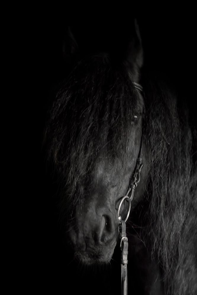 Photograph by Соколова Елена