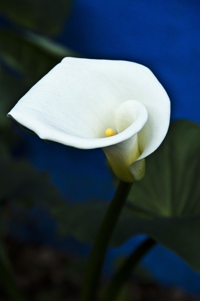 Photograph by Валерия Гуртовая