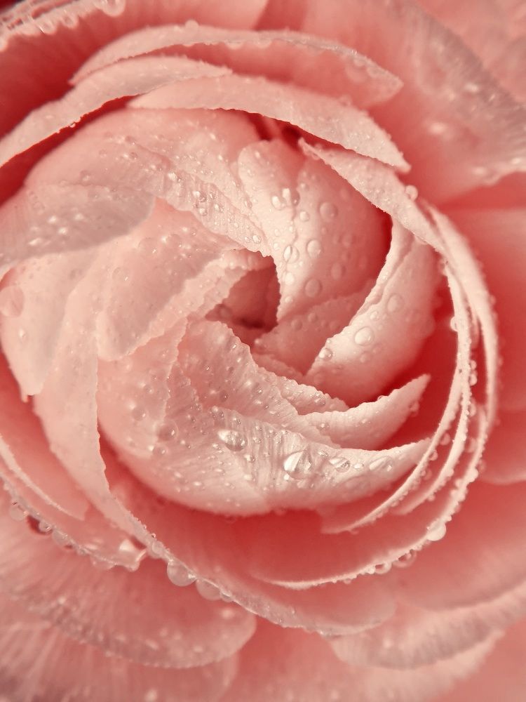 Фотография автора Елена Мурашова