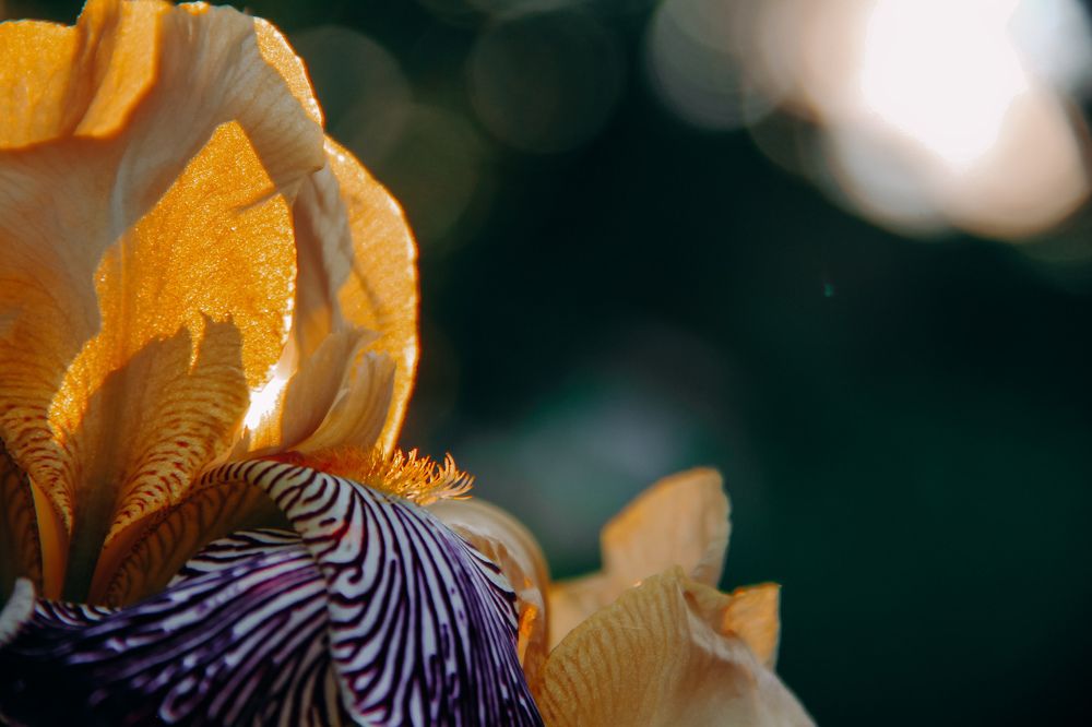 Photograph by Валерия Гуртовая