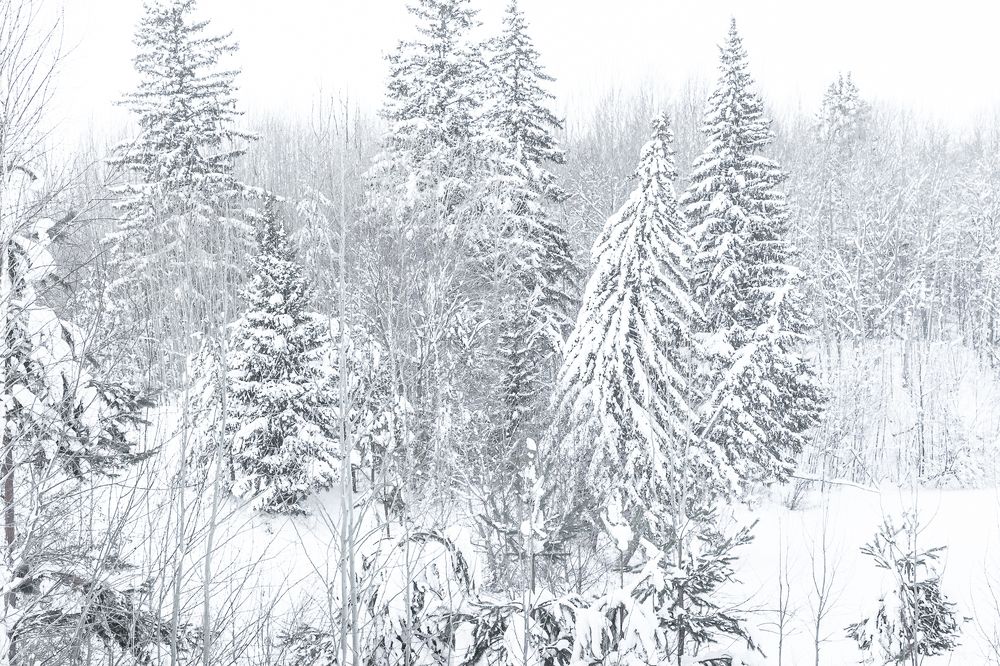 Photograph by Кермен Манджиева