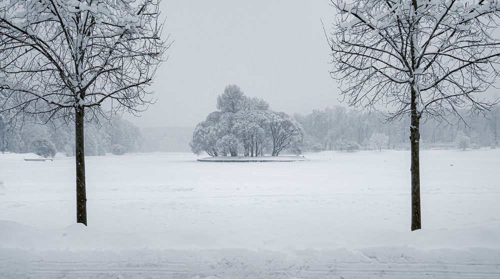Photograph by Александр Гришин