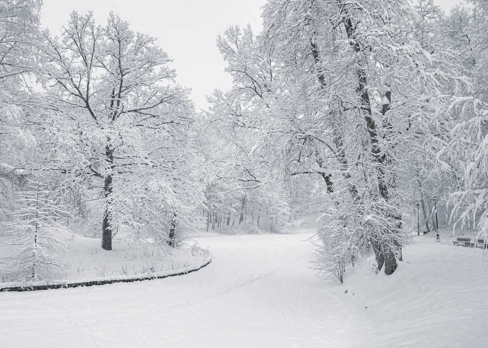 Photograph by Александр Гришин