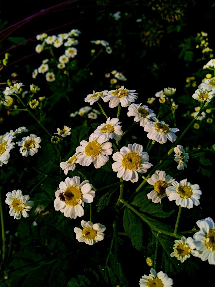 Photograph by Нина Словина