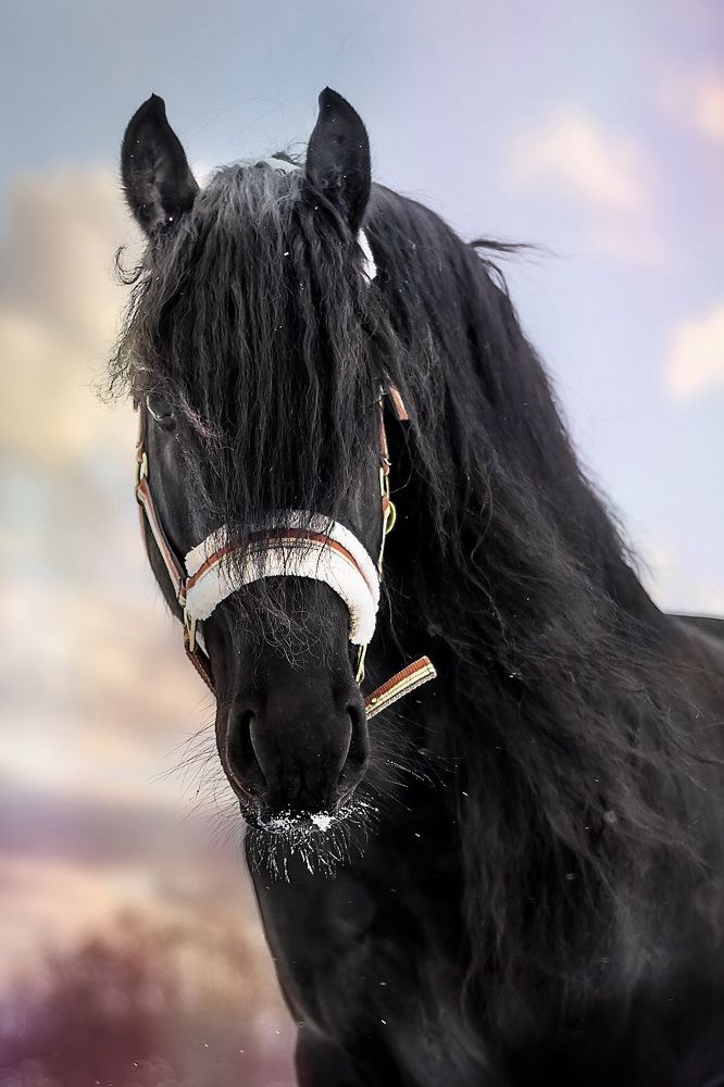 Photograph by Соколова Елена