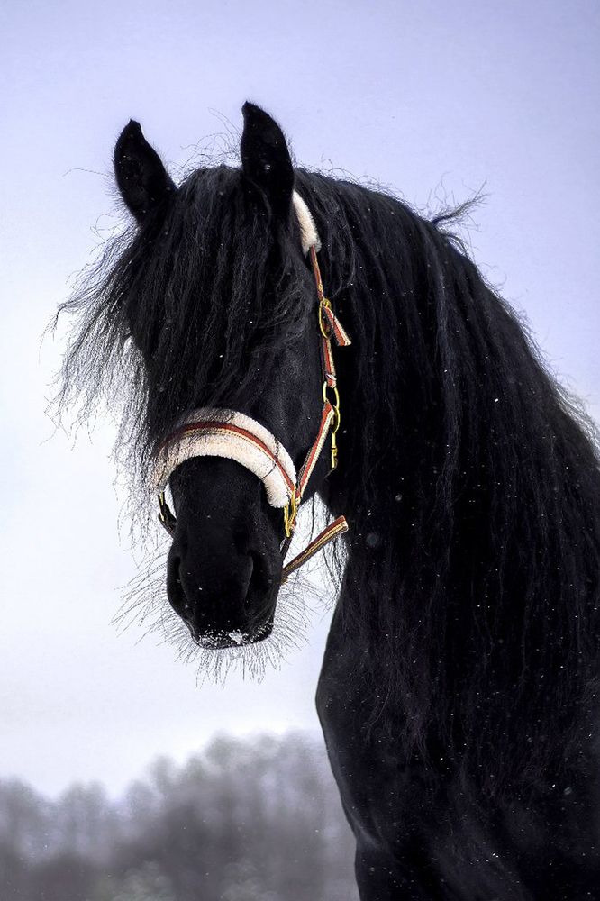 Photograph by Соколова Елена