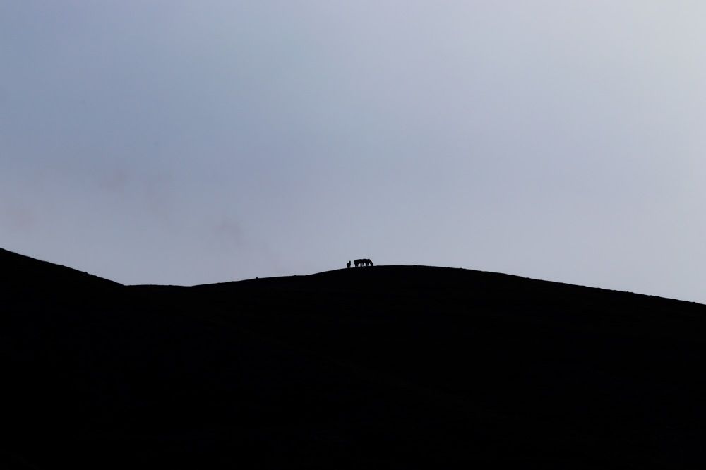 Photograph by Николай Шарлай