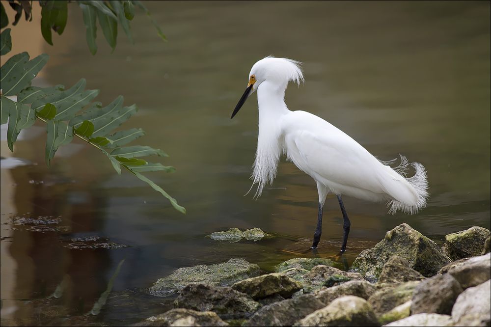 Photograph by Миронова Мила