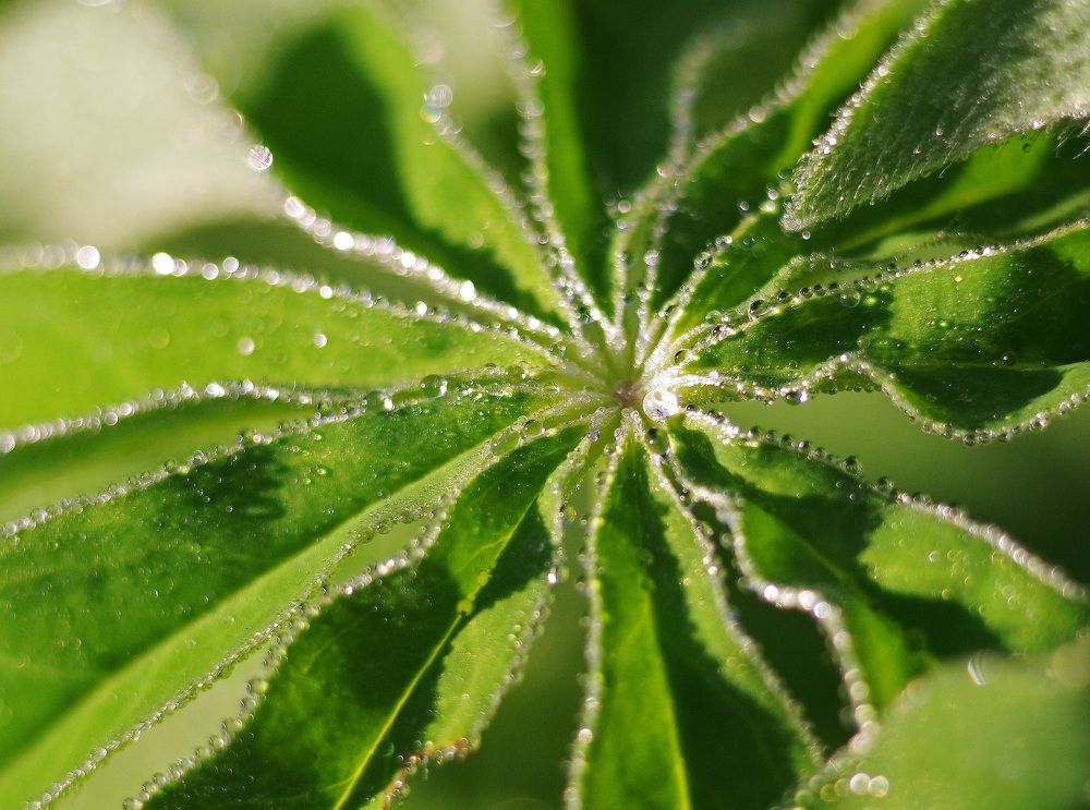 Фотография автора Антип