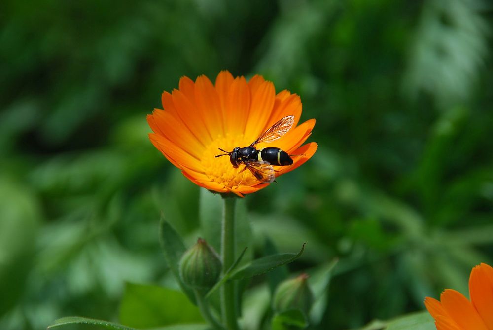 Photograph by Юрий Тимофеев