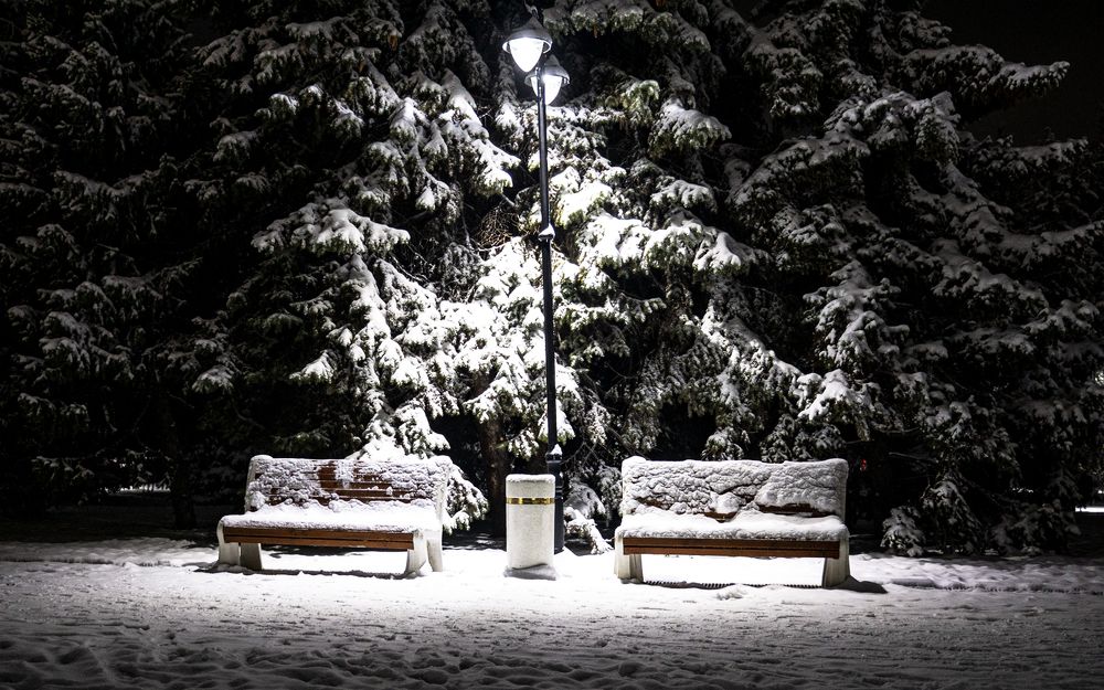 Photograph by Karpenko Denis