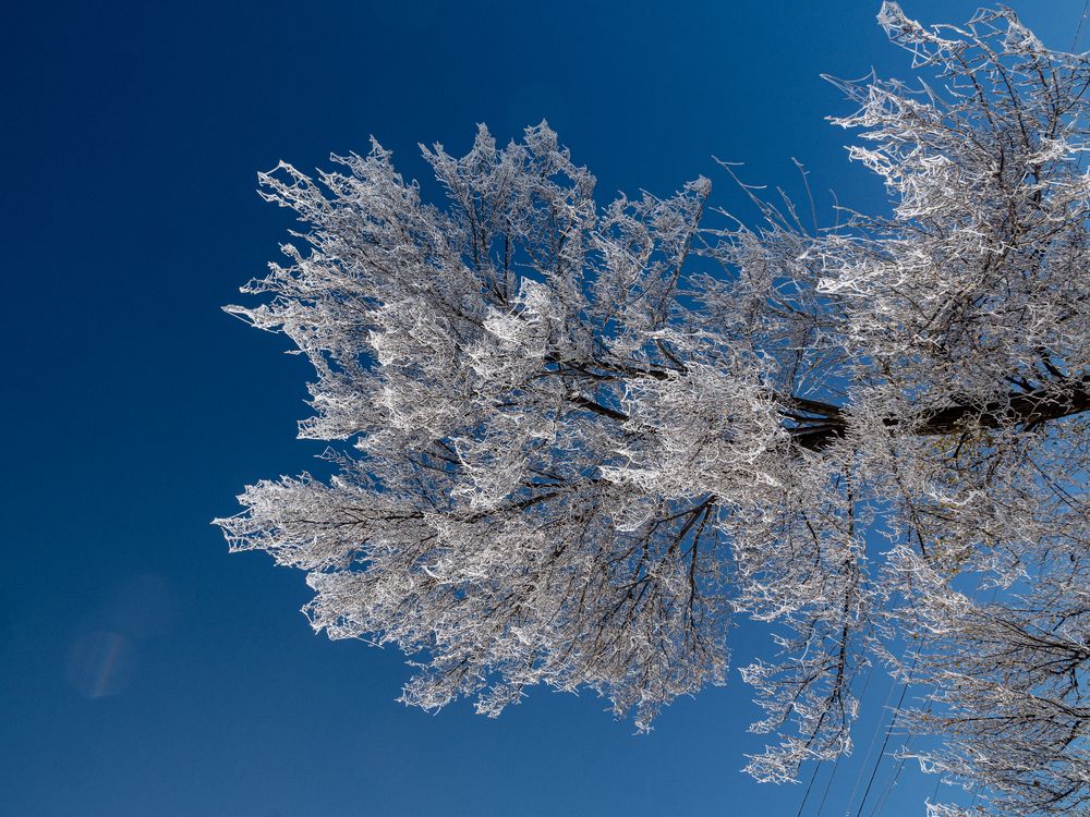 Photograph by Karpenko Denis