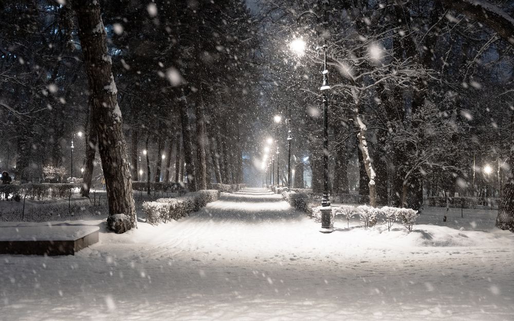 Photograph by Karpenko Denis