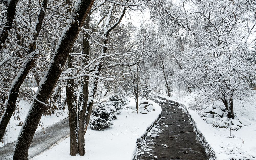 Photograph by Karpenko Denis