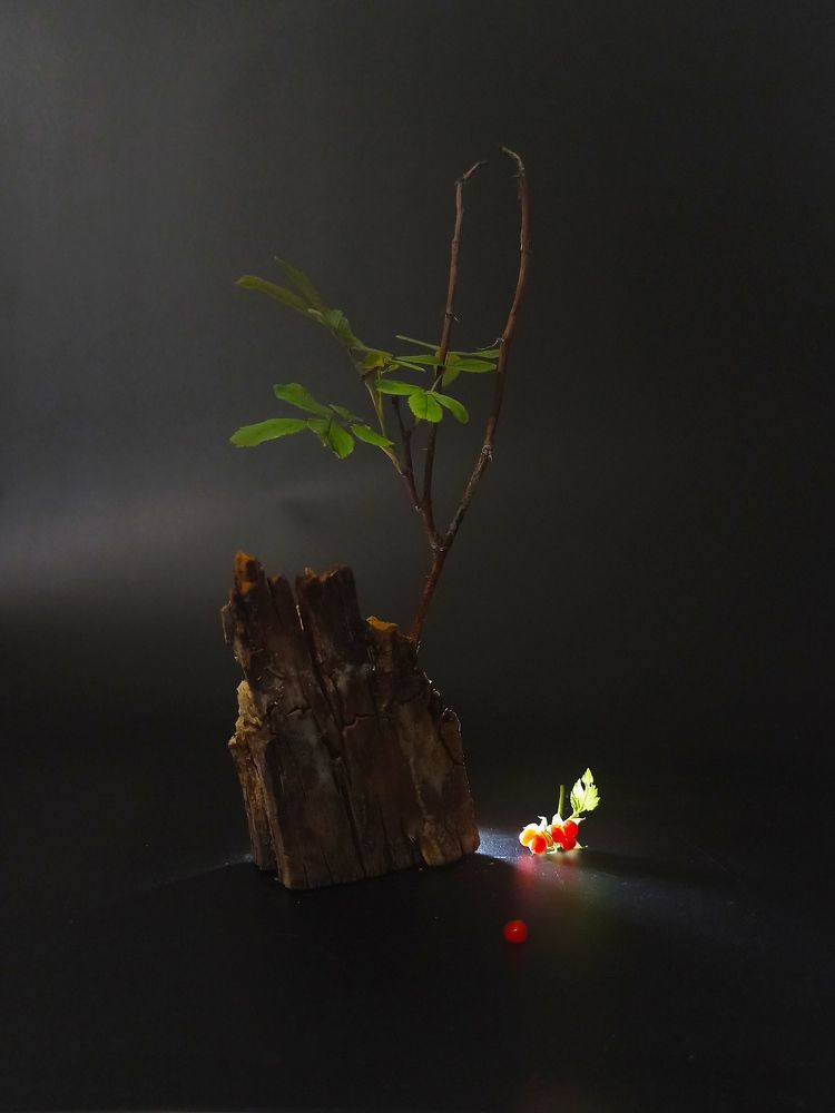 Photograph by Злата