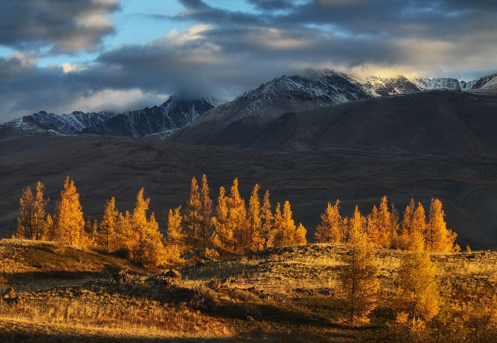 Photograph by Галина Хвостенко