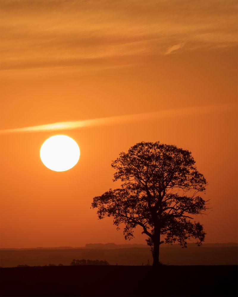 Photograph by Valdir Hobus