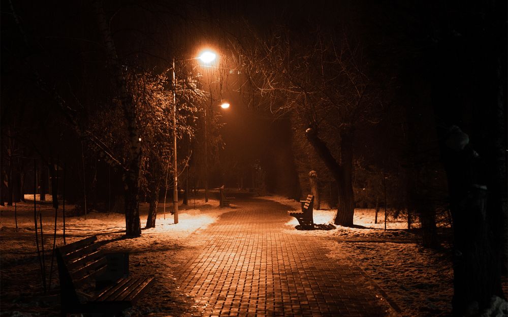 Photograph by Karpenko Denis