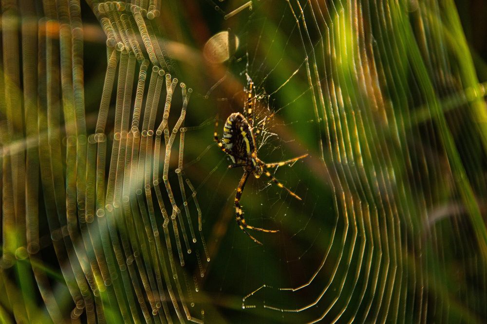 Photograph by Алексей Борисов