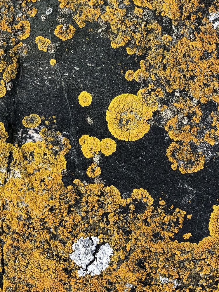 Photograph by Мария Бессмертная