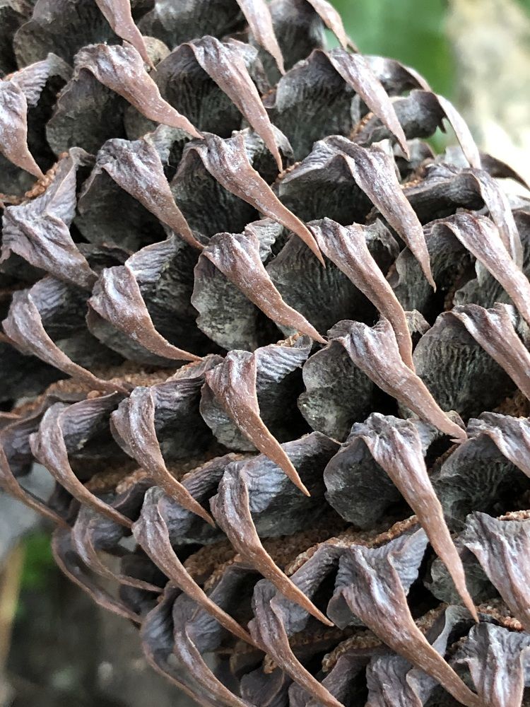 Photograph by Мария Бессмертная