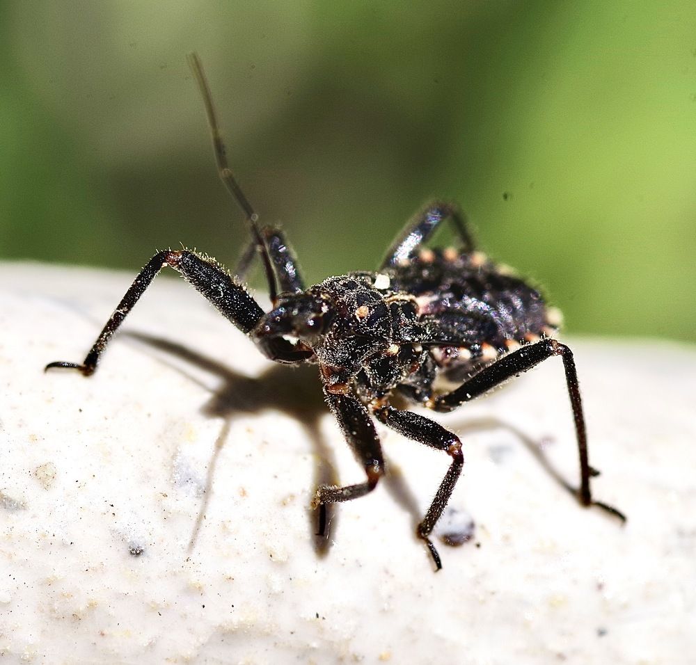 Photograph by Олег Китаев