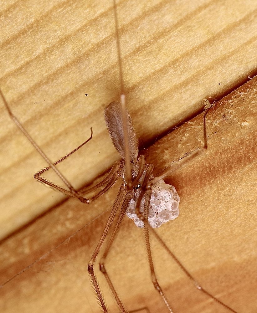 Photograph by Олег Китаев