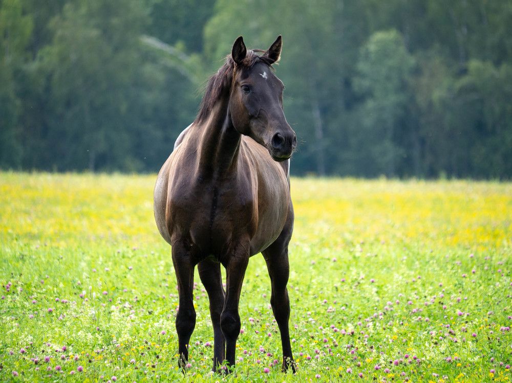 Photograph by Ignatov Yury