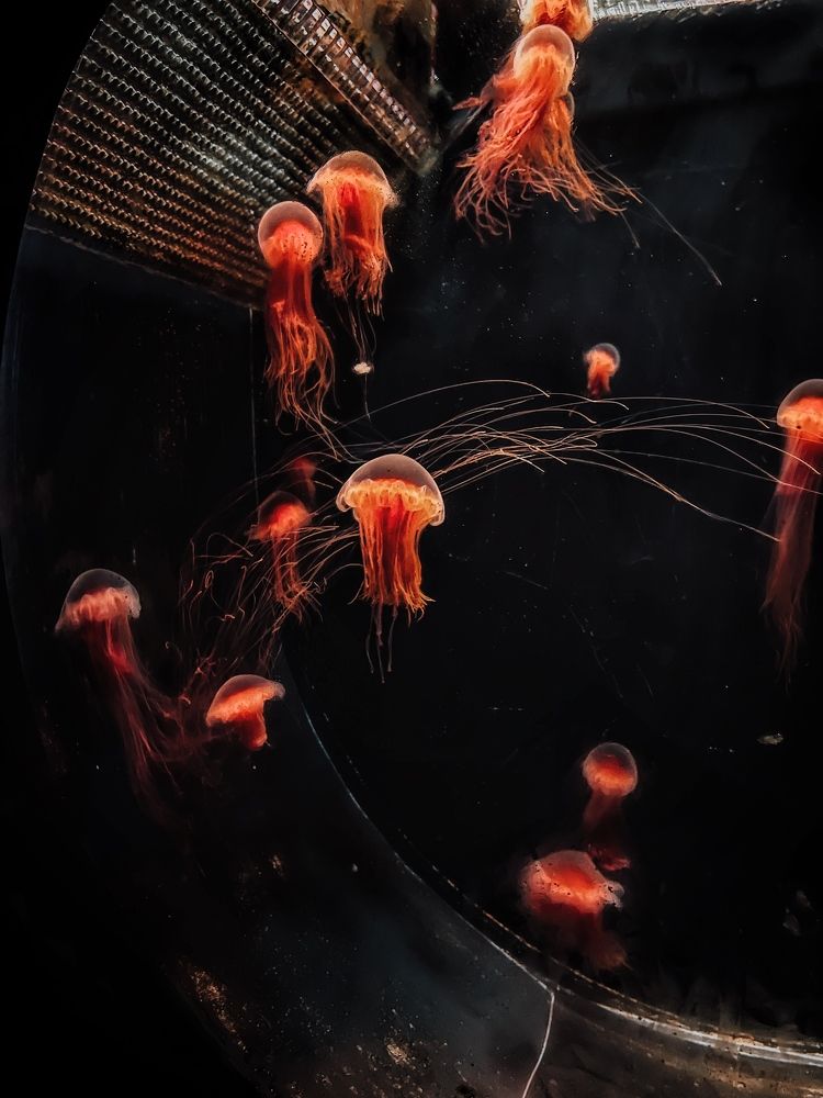 Photograph by Виктория Селютина