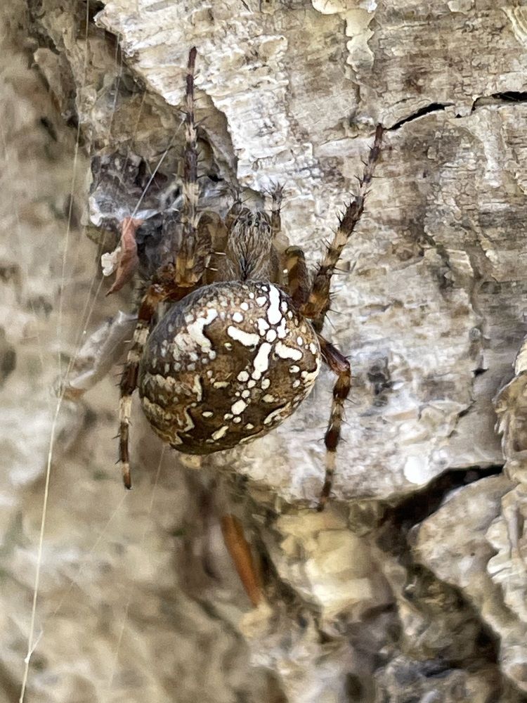 Photograph by Олег Китаев