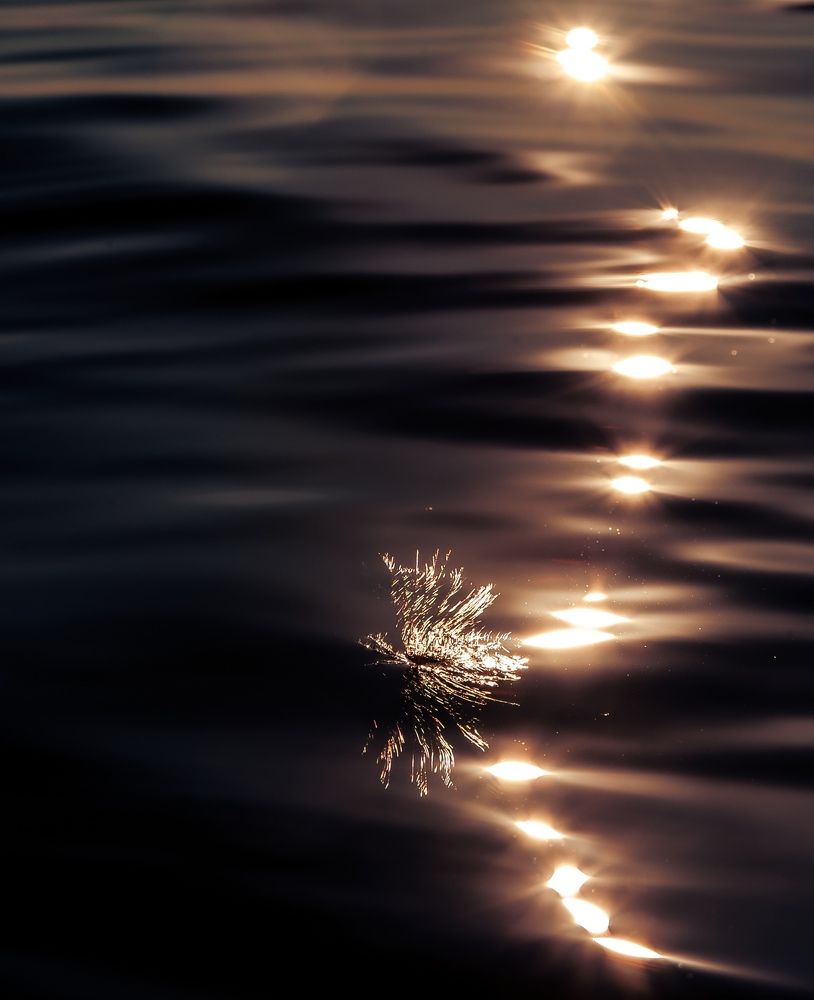 Photograph by Алексей Патрушев